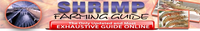 Shrimp Farming Guide promo codes